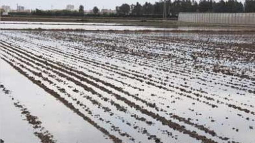 La lluvia inunda el arrozal antes de que los campos estén preparados