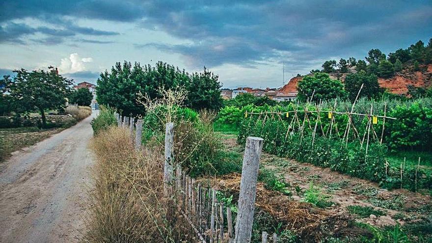 Uno de los campos de Pedralba que serán expropiados.