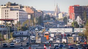 "No es el polen lo que nos enferma sino las partículas diésel"