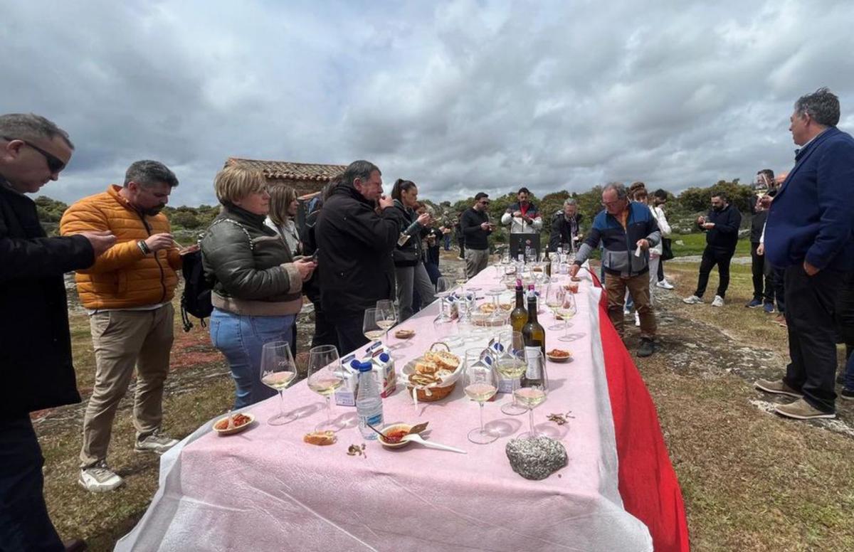 Degustación de productos sayagueses en la ribera de Carbellino | CEDIDA