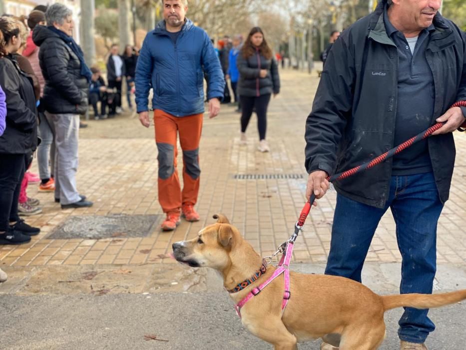 Evacuació dels animals de la protectora de Sallent per inundació