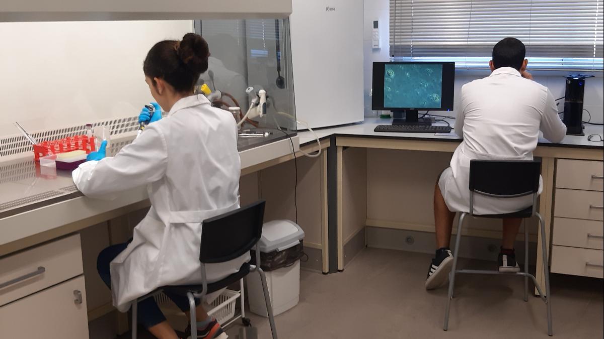 Unidad de Parasitología de la Facultad de Veterinaria de la ULPGC.