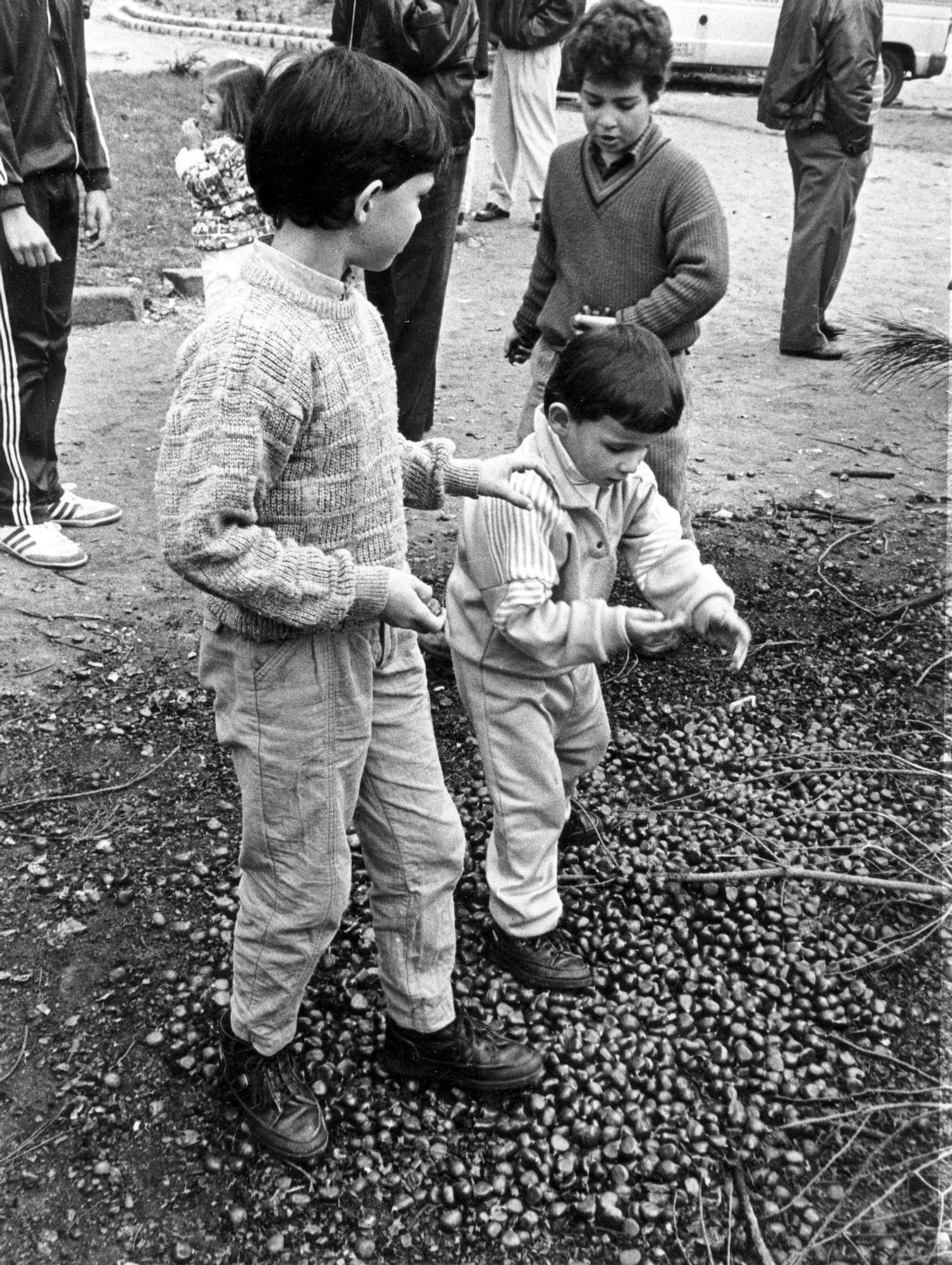 Niños recogiendo las castañas tras asarlas en Vigo en la década de los 80