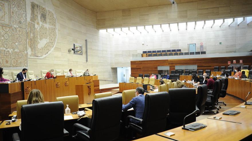 Pleno de la Asamblea de Extremadura