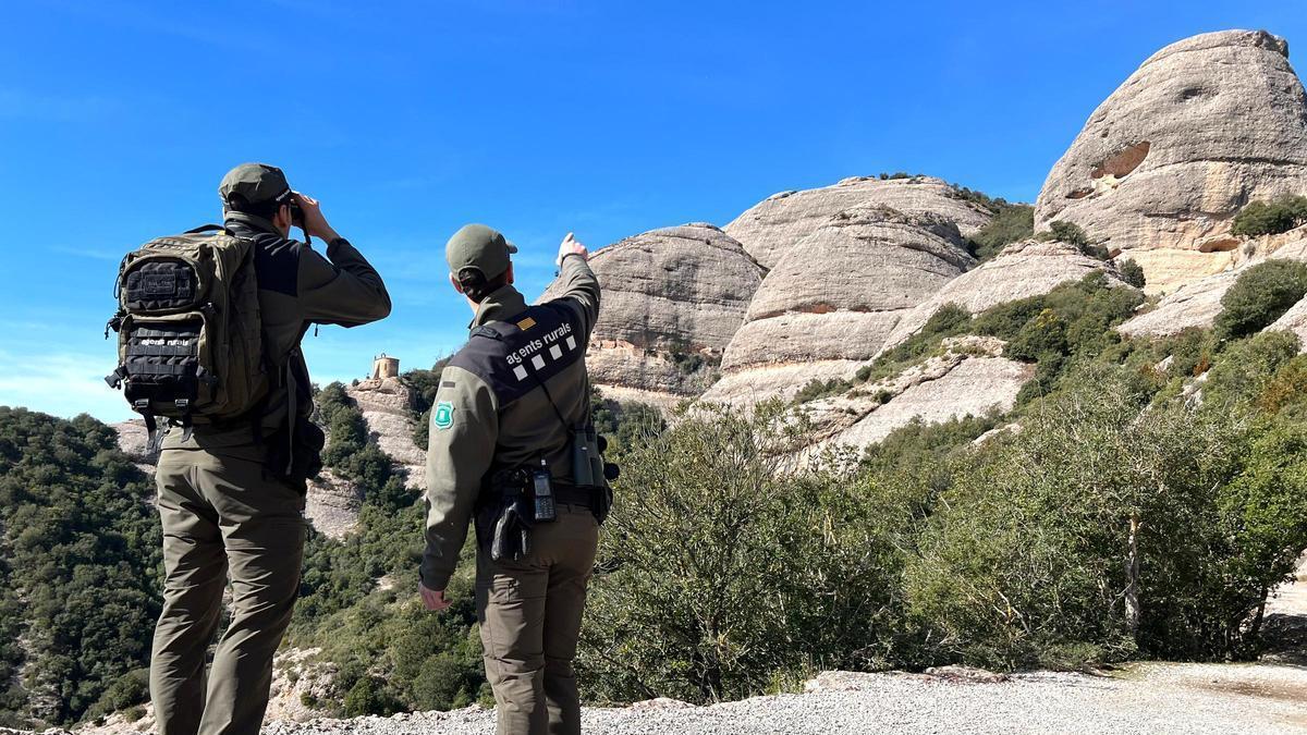 Una parella d'Agents Rurals fan un albirament en un camí de Montserrat durant una de les rondes de reforç de la vigilància d'aquest espai natural amb protecció especial