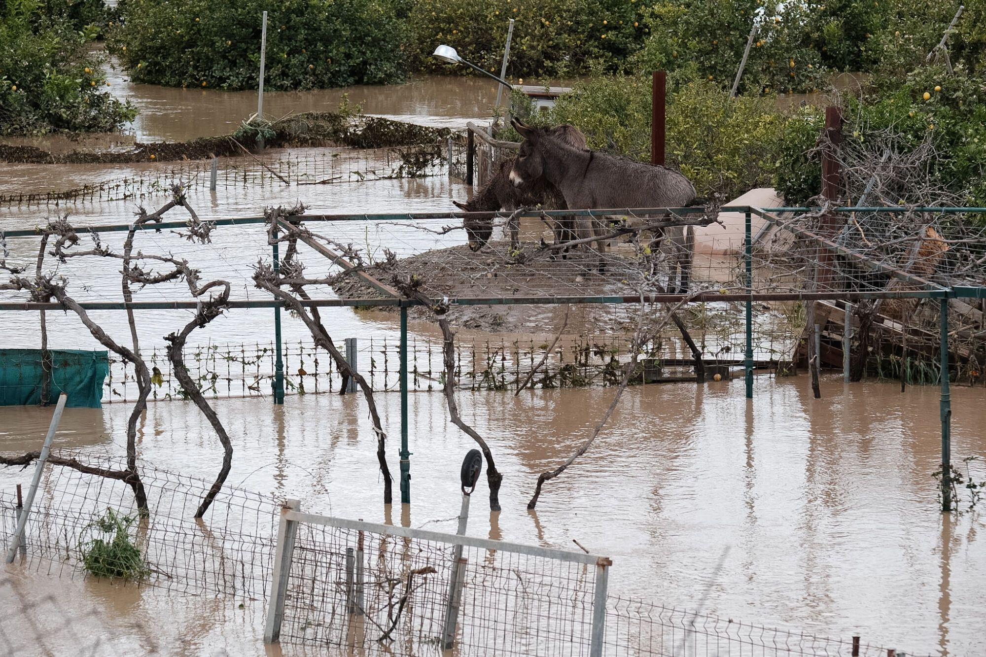 Inundaciones en Cártama y labores de rescate