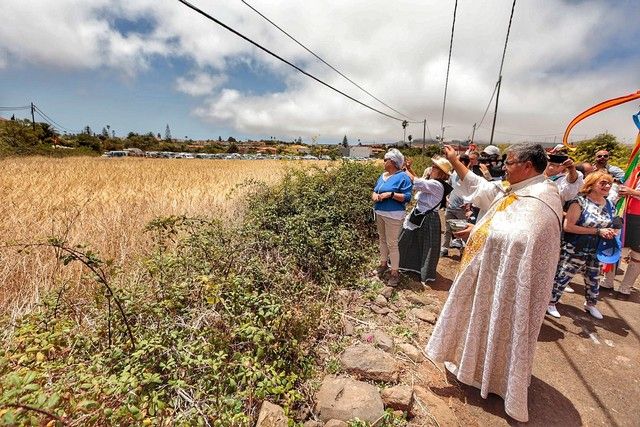 Feria de ganado y procesión por las Fiestas de San Benito en La Laguna, julio 2022