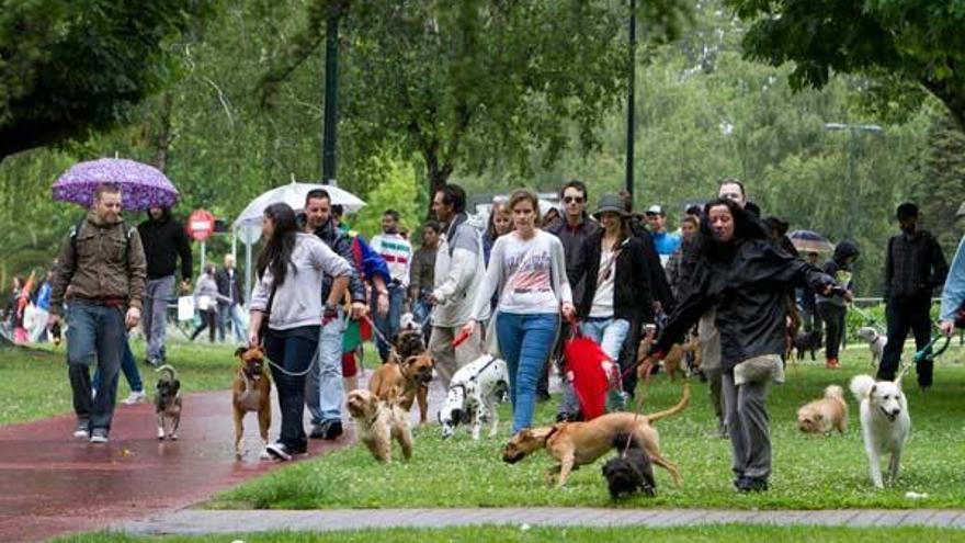 Varias personas durante la manifestación que han llevado a cabo acompañados por sus perros, para reivindicar espacios por los que puedan pasear sueltos los animales.