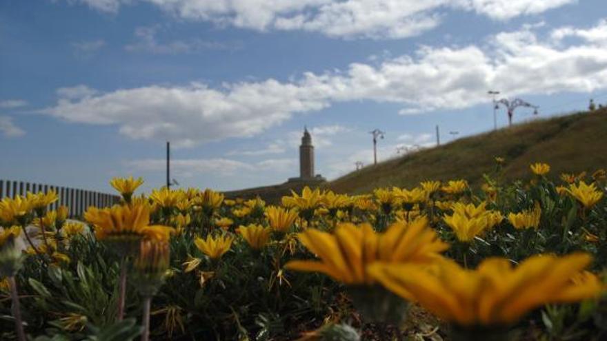 Vista de la Torre de Hércules.