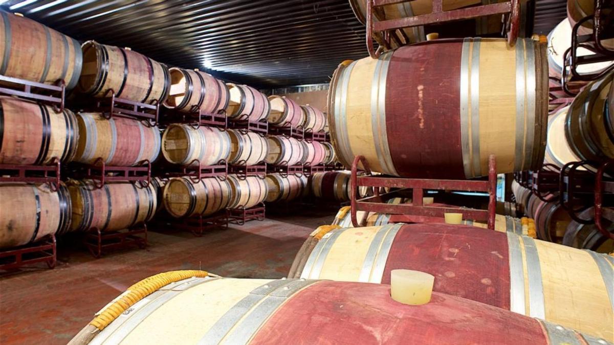 Cadalso de los Vidrios lidera la mejora de bodegas madrileñas para fomentar el enoturismo y la tradición vitivinícola