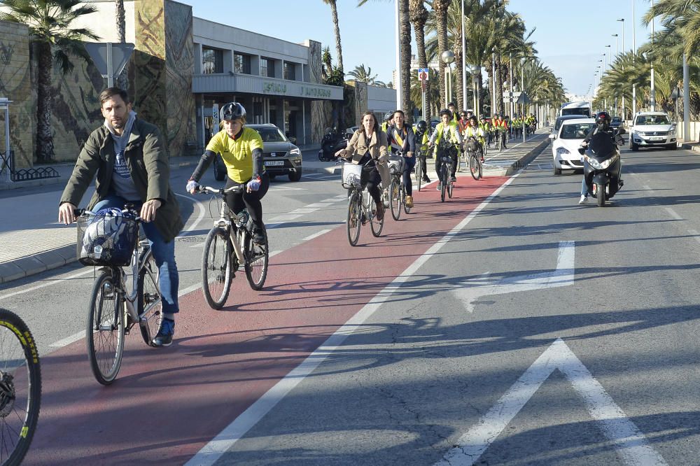 El carril bici en la avenida de la universidad