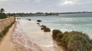 Así afectará la borrasca 'Domingos' a Ibiza y Formentera: rachas de viento de hasta 70km/h