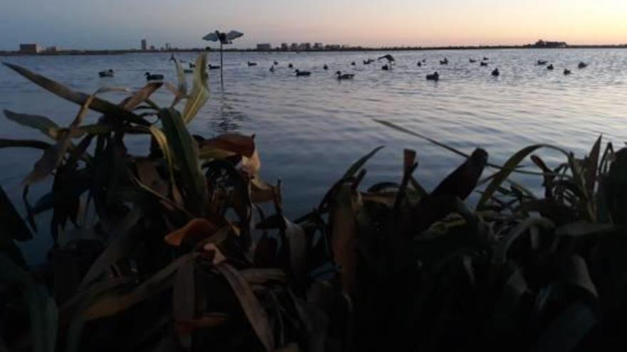 Ni los reclamos lograron atraer el sábado a las aves hasta los arrozales