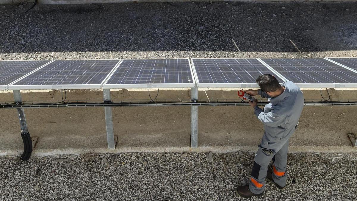 Un técnico supervisando paneles fotovoltaicos de una planta de la Comunitat Valenciana.