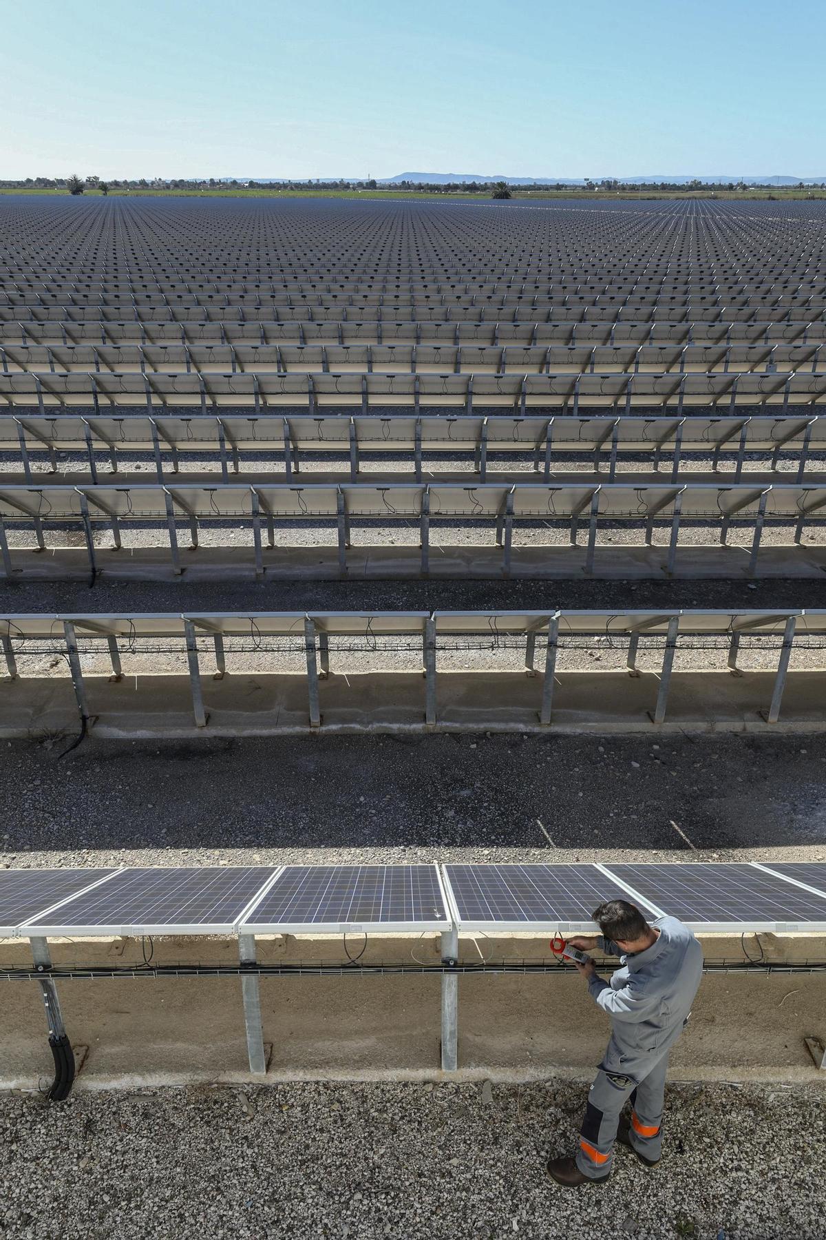 Un técnico supervisando paneles fotovoltaicos de una planta de la Comunitat Valenciana.