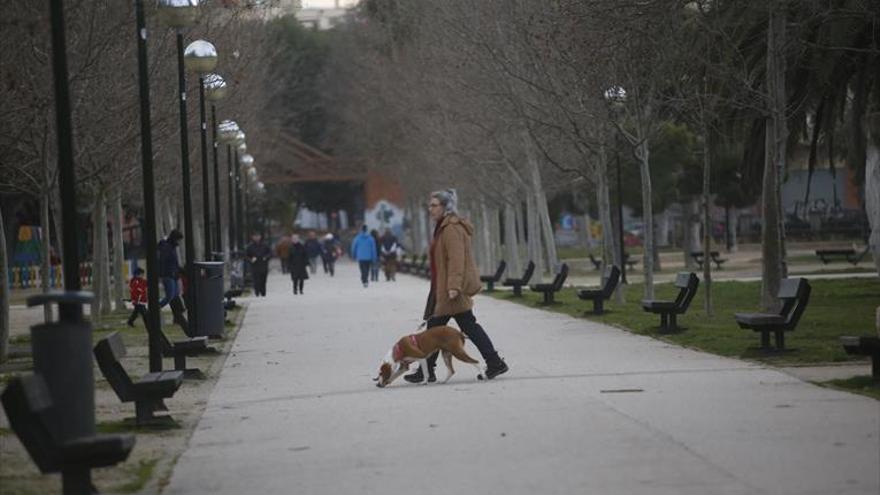 Los dueños de los perros tienen un año para identificar su ADN