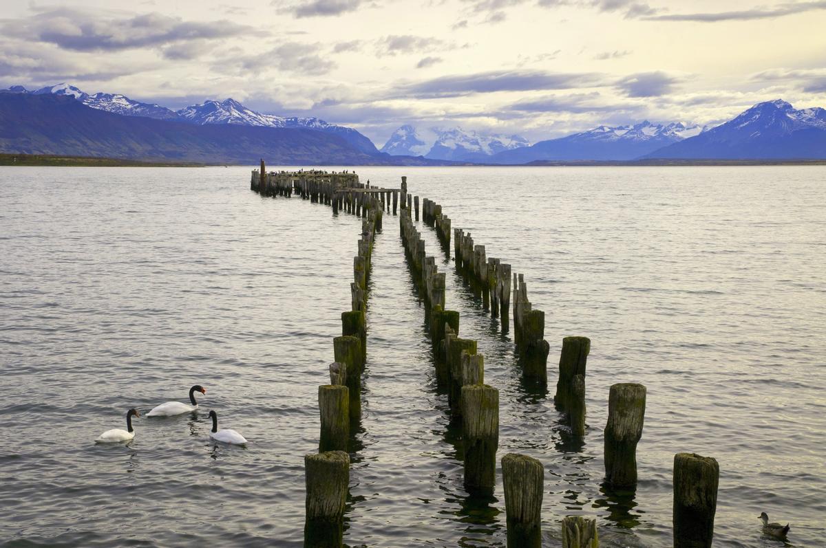 El muelle