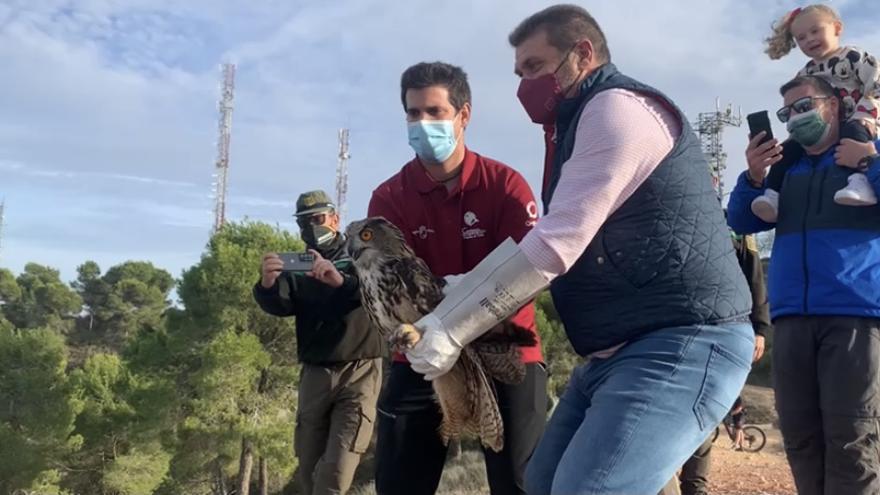 Liberan dos búhos reales en El Valle tras su rehabilitación