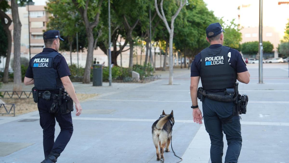 Summer, la perra antidrogas que vuelve a Ibiza este verano para luchar contra el narcotráfico