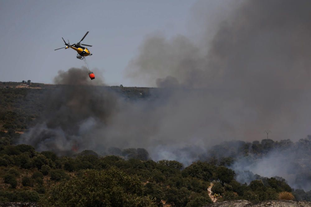 Incendio Pino del Oro y Castro de Alcañices