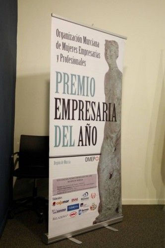 Mujer Empresaria del año 2013