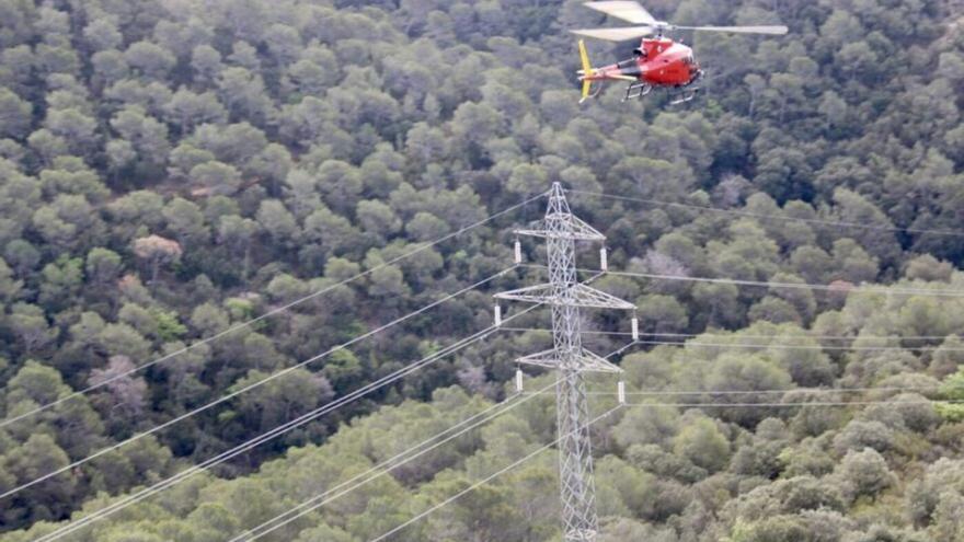 Podas de Endesa para evitar incendios en los bosques en verano