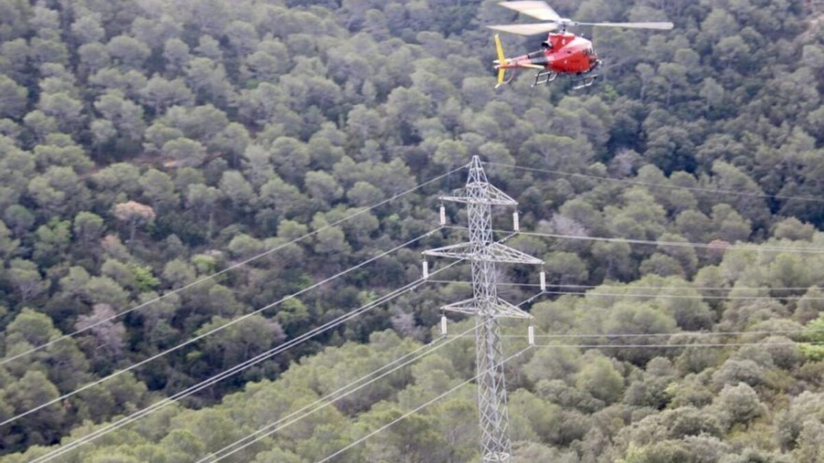 Revisión de los bosques con helicóptero por parte de Endesa