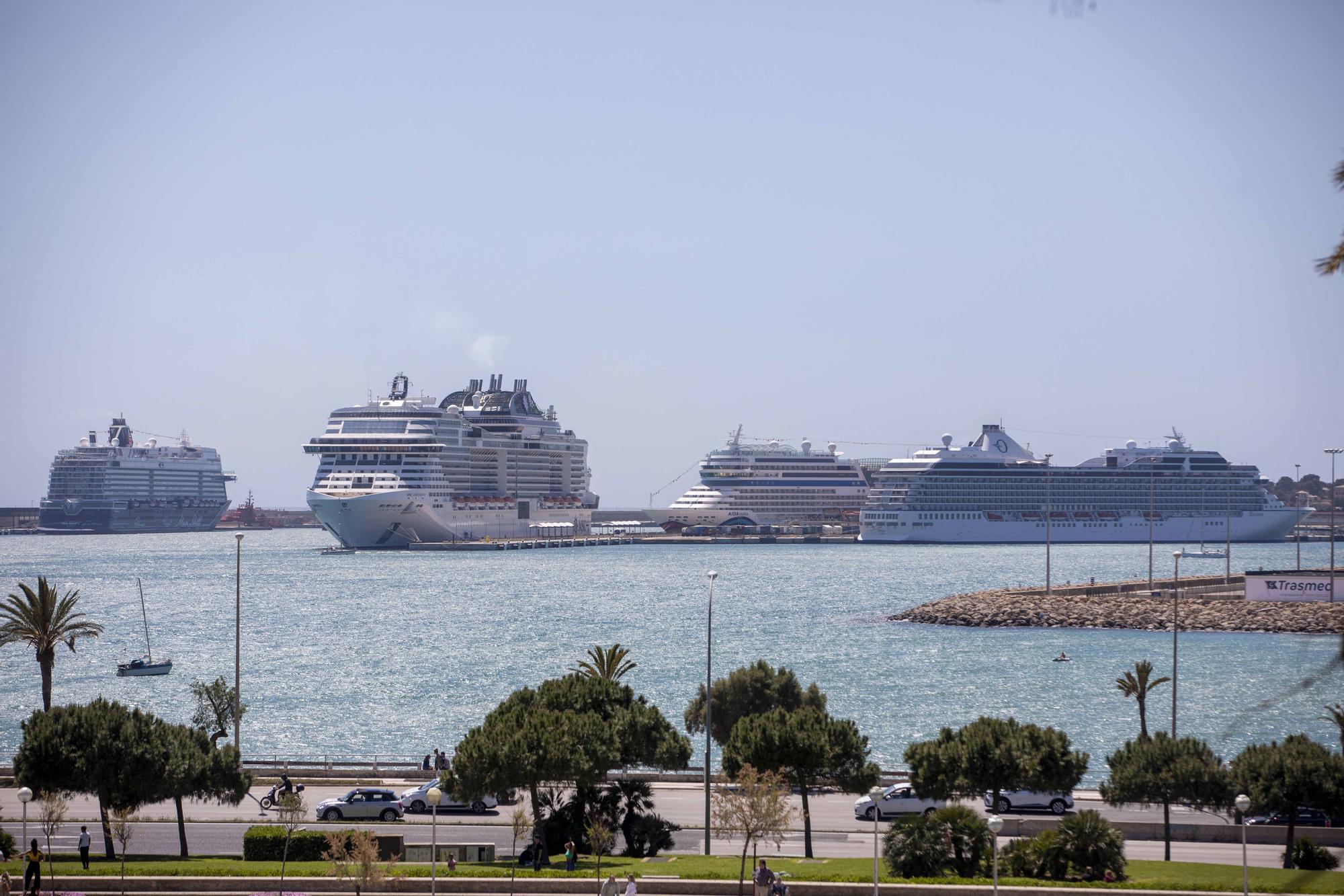 Cuatro grandes cruceros atracados en Palma este domingo