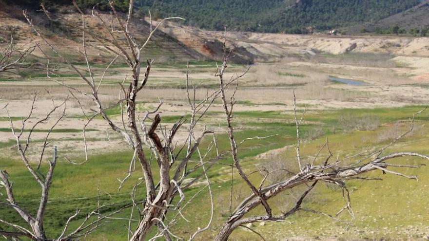 El pantano de la Fuensanta, el tercero más grande de la cuenca del Segura, prácticamente vacío.