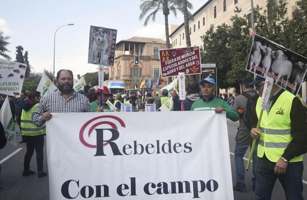 Así ha sido la manifestación de los agricultores en Murcia (II)