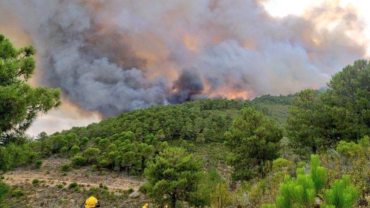 Humo procedente del incendio que asola Las Hurdes.