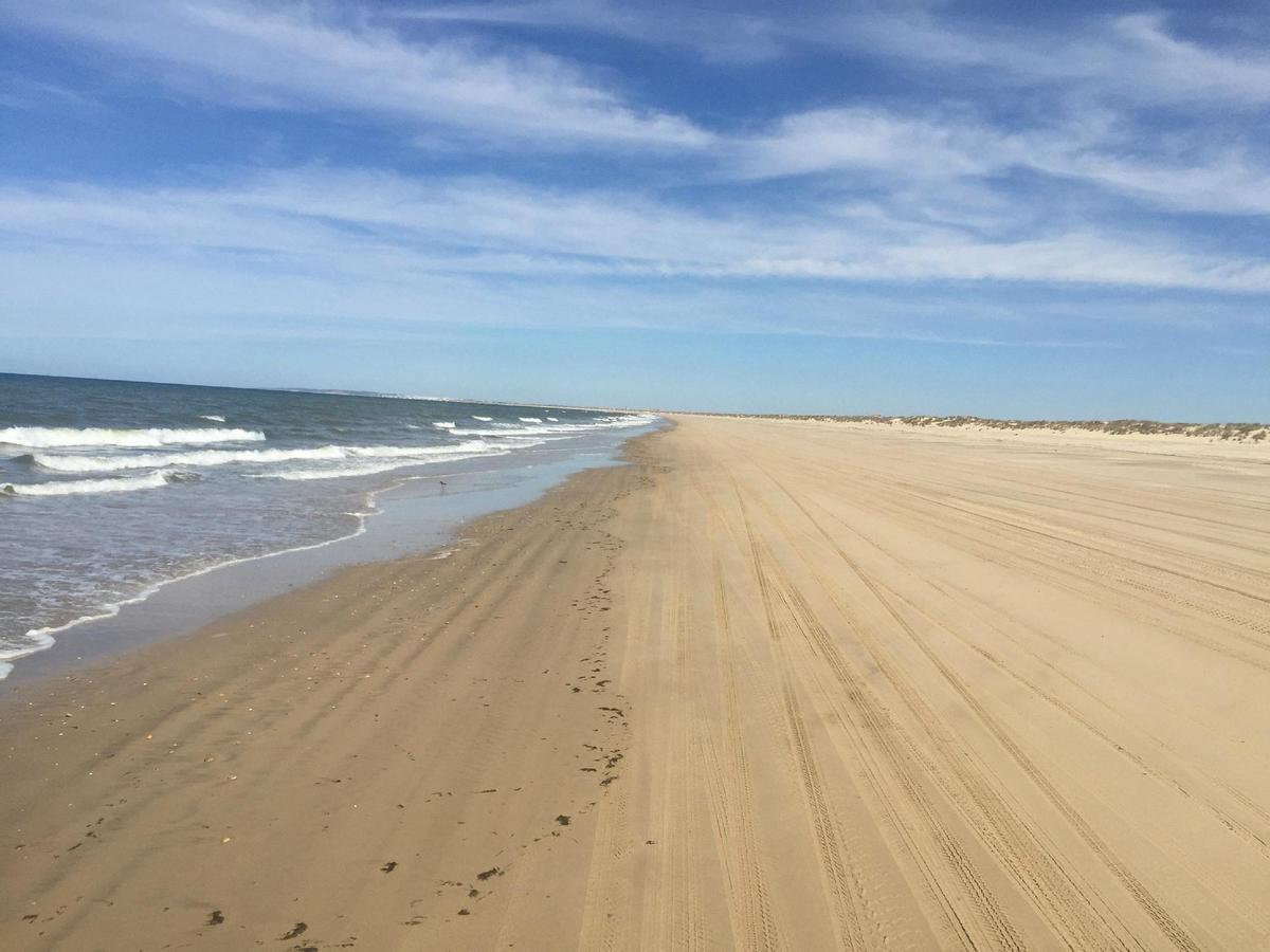 La Playa de Doñana, el litoral más largo de España, se encuentra en Huelva, a apenas una hora de Sevilla