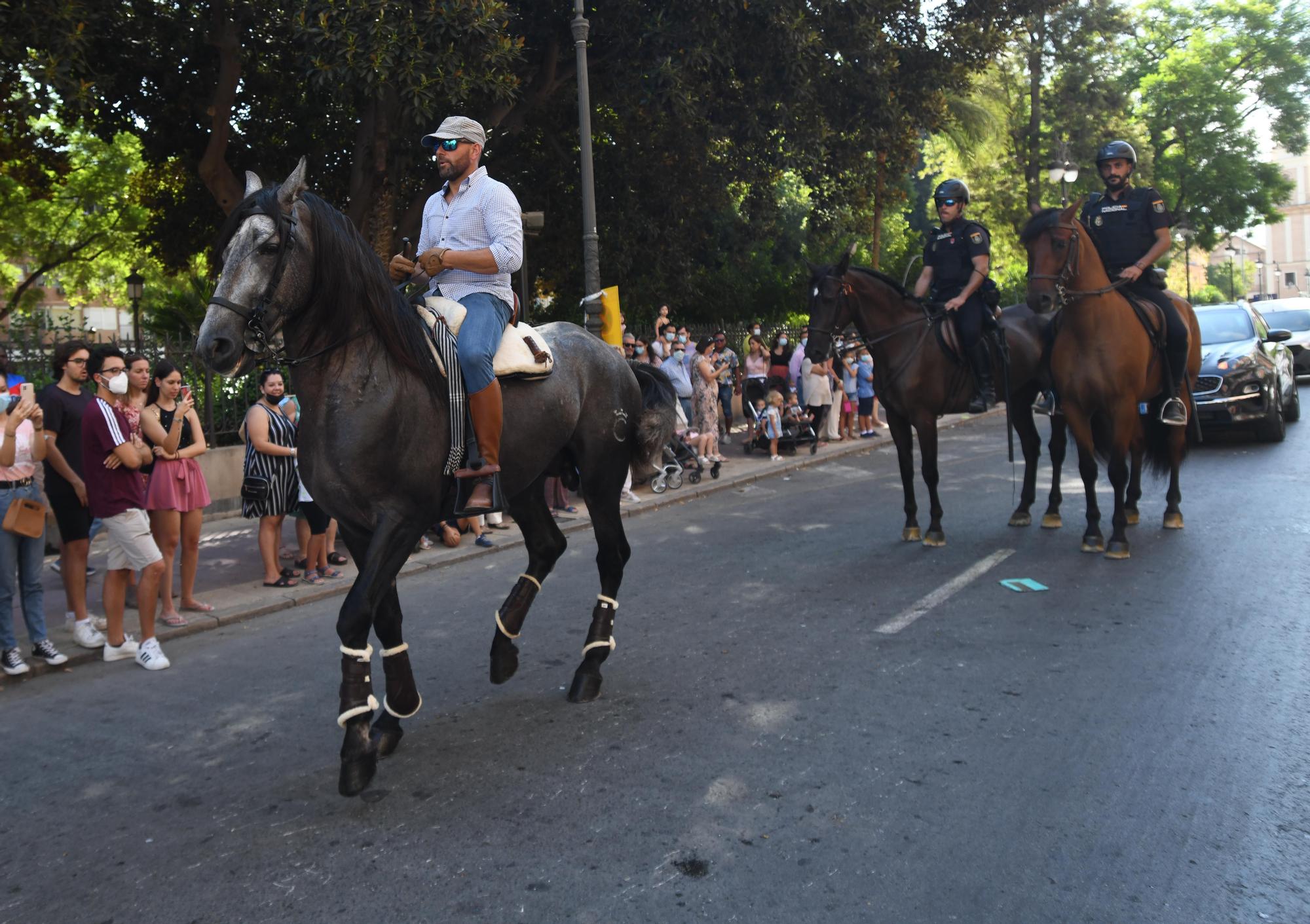 Paseo-desfile de carruajes y caballos en Murcia