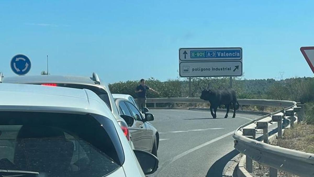 Un toro en la rotonda de acceso al polígono industrial de Buñol