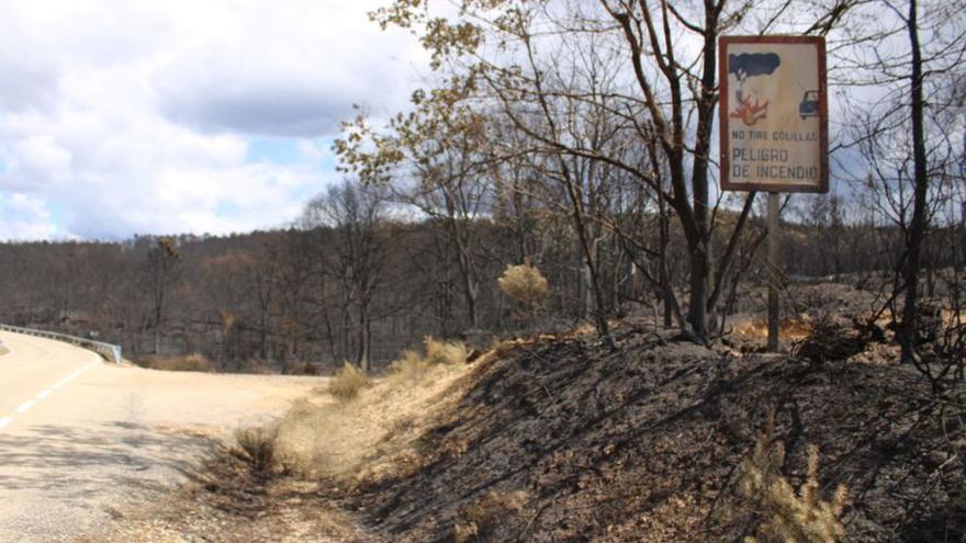 Un cartel prohíbe las colillas en una zona quemada por el incendio.
