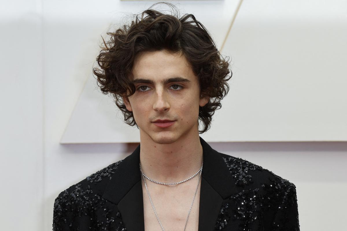 Timothée Chalamet, en la alfombra roja de los Oscar.