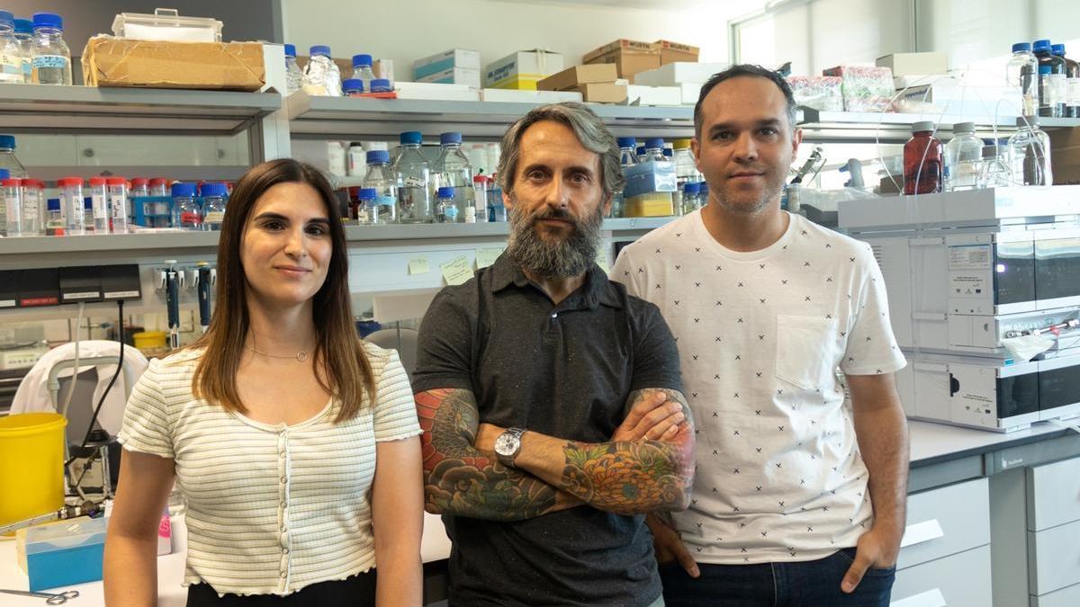 Los investigadores responsables de este trabajo: María Victoria Berlanga, Diego Romero y Carlos Molina en uno de los laboratorios de la sede de Teatinos del IHSM La Mayora UMA-CSIC.