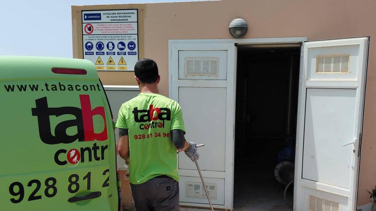 Un trabajador de una empresa privada durante las labores de fumigación en la depuradora.