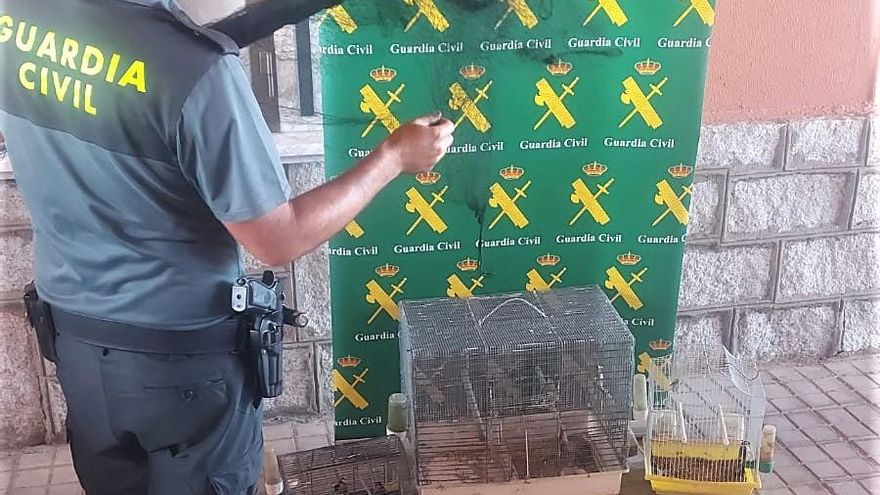 La Guardia Civil investiga el uso de &quot;artes prohibidas&quot; de caza en Mombuey