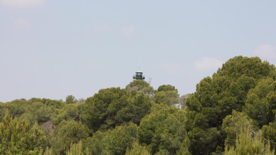 Seis operarios vigilarán la Vallesa este verano