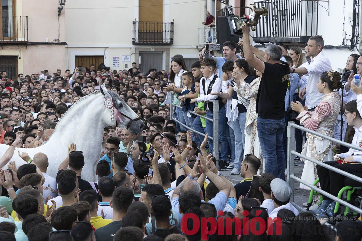 Fiestas de Caravaca | Entrega de premios del concurso morfológico