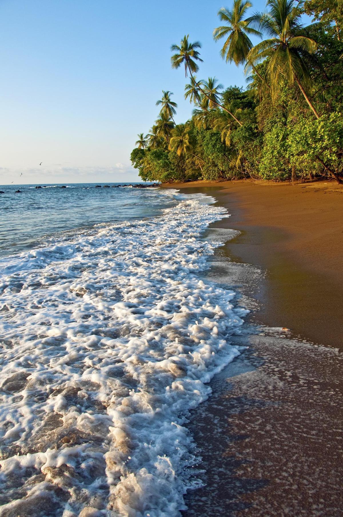 La playa en el Parque Nacional de Corcovado