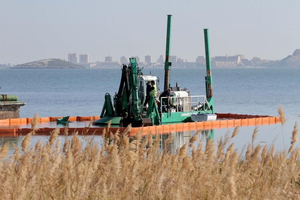 Así trabaja la brigada de limpieza en el Mar Menor