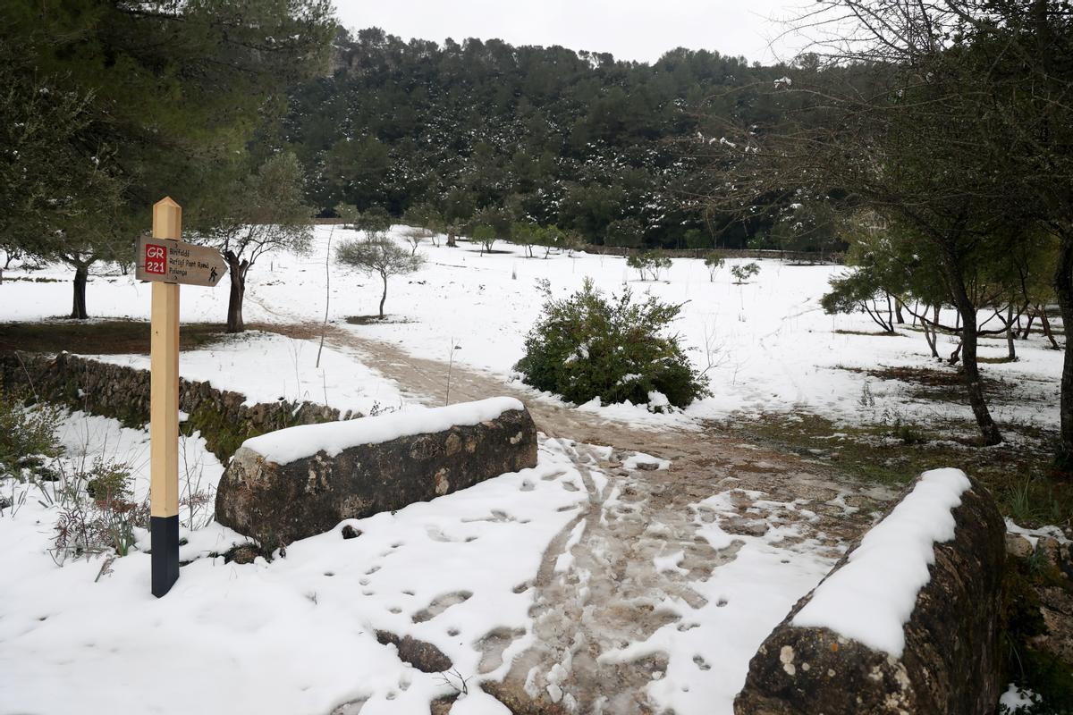 La nieve llega a la sierra de Tramuntana en Mallorca