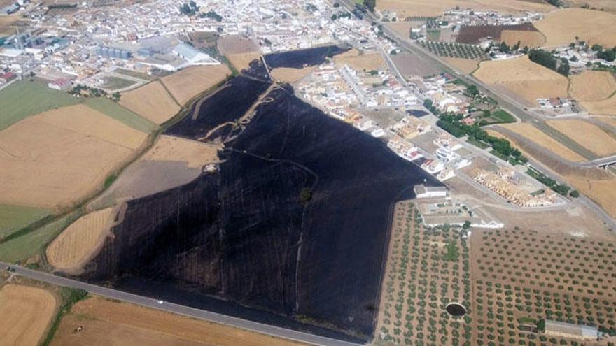 Imagen aérea de la superficie quemada por el fuego.