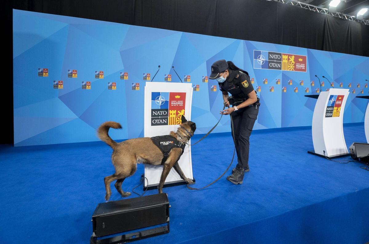 Las consecuencias de un Madrid blindado por la OTAN: teletrabajo ante controles y cortes de tráfico