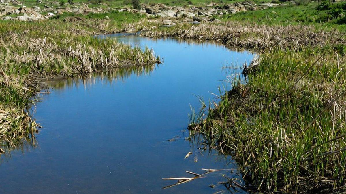 Arroyo Guadarramilla, uno de los cursos de agua más contaminados de Los Pedroches.