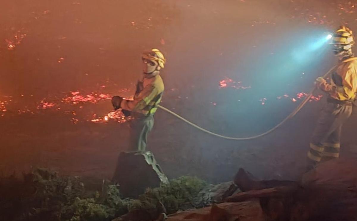 "Urge una política forestal a 20 años"