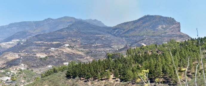 11-08-2019 Artenara. Segundo día del incendio en la cumbre  | 11/08/2019 | Fotógrafo: Andrés Cruz