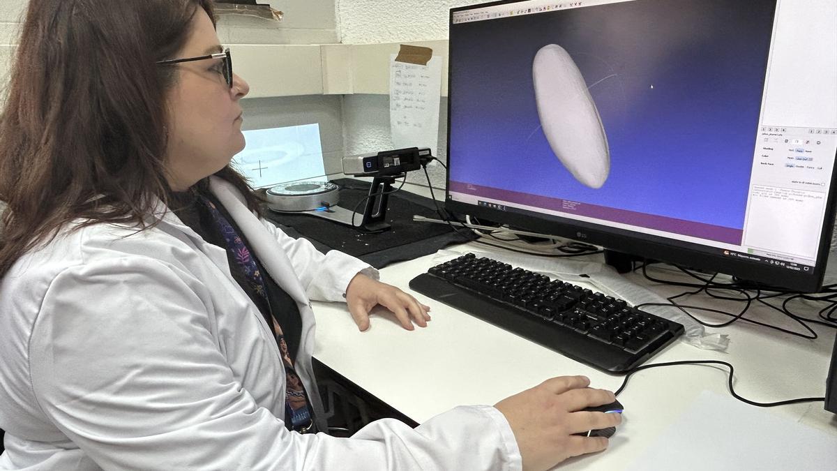 Stéphanie Torrijo, investigadora principal del estudio, en el laboratorio con una imagen de un piñón ibérico en la pantalla